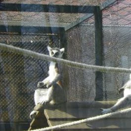 Sóstó Zoo - Nyíregyházi Állatpark Nyíregyháza - Egyéb