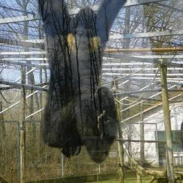 Sóstó Zoo - Nyíregyházi Állatpark Nyíregyháza - Egyéb