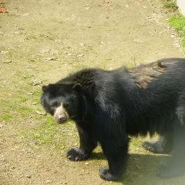Sóstó Zoo - Nyíregyházi Állatpark Nyíregyháza - Egyéb