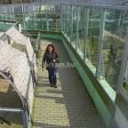 Sóstó Zoo - Nyíregyházi Állatpark Nyíregyháza - 