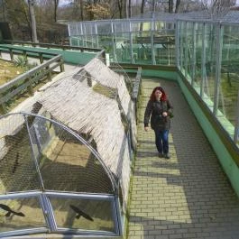 Sóstó Zoo - Nyíregyházi Állatpark Nyíregyháza - Egyéb