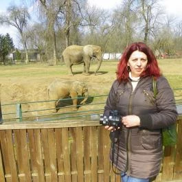 Sóstó Zoo - Nyíregyházi Állatpark Nyíregyháza - Egyéb