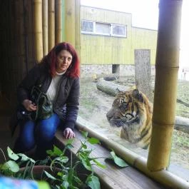 Sóstó Zoo - Nyíregyházi Állatpark Nyíregyháza - Egyéb