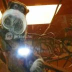 Sóstó Zoo - Nyíregyházi Állatpark Nyíregyháza - 