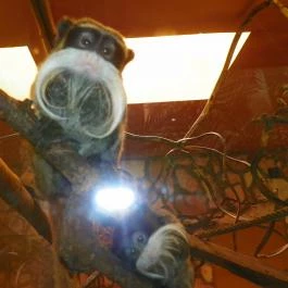 Sóstó Zoo - Nyíregyházi Állatpark Nyíregyháza - Egyéb