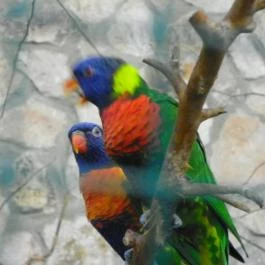 Sóstó Zoo - Nyíregyházi Állatpark Nyíregyháza - Egyéb