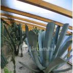 Sóstó Zoo - Nyíregyházi Állatpark Nyíregyháza - 