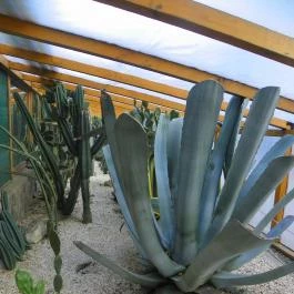 Sóstó Zoo - Nyíregyházi Állatpark Nyíregyháza - Egyéb