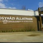 Sóstó Zoo - Nyíregyházi Állatpark Nyíregyháza - 