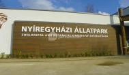 Sóstó Zoo - Nyíregyházi Állatpark Nyíregyháza - Sóstó Zoo - Nyíregyházi Állatpark Nyíregyháza -