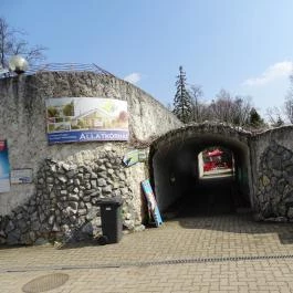 Sóstó Zoo - Nyíregyházi Állatpark Nyíregyháza - Egyéb
