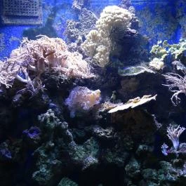 Sóstó Zoo - Nyíregyházi Állatpark Nyíregyháza - Egyéb