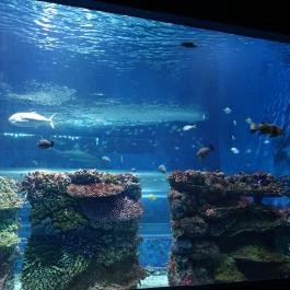 Sóstó Zoo - Nyíregyházi Állatpark Nyíregyháza - Egyéb