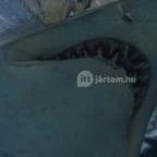 Sóstó Zoo - Nyíregyházi Állatpark Nyíregyháza - 