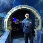 Sóstó Zoo - Nyíregyházi Állatpark Nyíregyháza - 