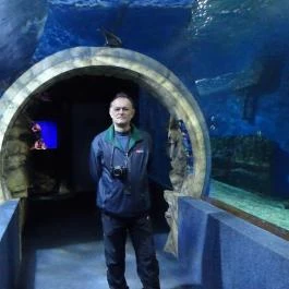 Sóstó Zoo - Nyíregyházi Állatpark Nyíregyháza - Egyéb