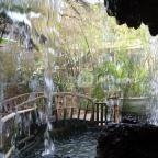 Sóstó Zoo - Nyíregyházi Állatpark Nyíregyháza - 