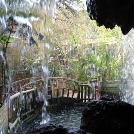 Sóstó Zoo - Nyíregyházi Állatpark Nyíregyháza - Egyéb