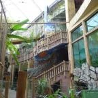 Sóstó Zoo - Nyíregyházi Állatpark Nyíregyháza - 