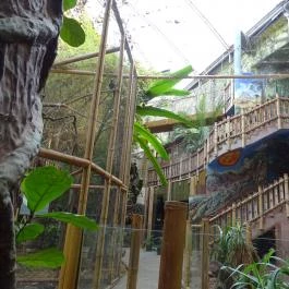 Sóstó Zoo - Nyíregyházi Állatpark Nyíregyháza - Egyéb