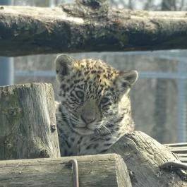 Sóstó Zoo - Nyíregyházi Állatpark Nyíregyháza - Egyéb