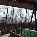 Sóstó Zoo - Nyíregyházi Állatpark Nyíregyháza - 