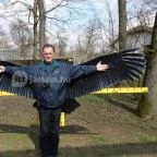 Sóstó Zoo - Nyíregyházi Állatpark Nyíregyháza - 