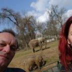 Sóstó Zoo - Nyíregyházi Állatpark Nyíregyháza - 