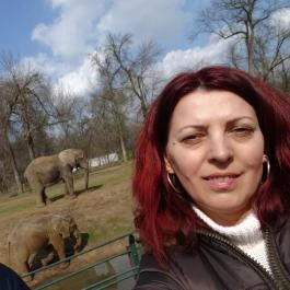 Sóstó Zoo - Nyíregyházi Állatpark Nyíregyháza - Egyéb