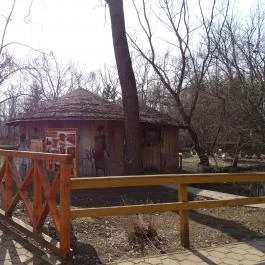 Sóstó Zoo - Nyíregyházi Állatpark Nyíregyháza - Egyéb