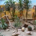 Sóstó Zoo - Nyíregyházi Állatpark Nyíregyháza - 