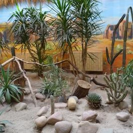 Sóstó Zoo - Nyíregyházi Állatpark Nyíregyháza - Egyéb