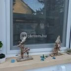 Szivárvány Panzió Szeged - Egyéb