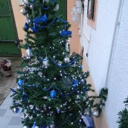 Szivárvány Panzió Szeged - Egyéb