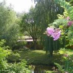 Tó Panzió Simontornya - Környék