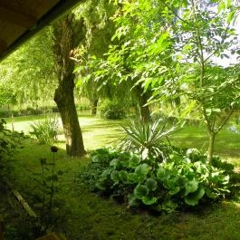 Tó Panzió Simontornya - Környék