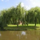 Tó Panzió Simontornya - Környék