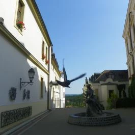 Tűztorony Veszprém - Egyéb