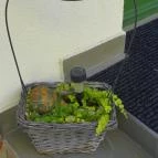 Várszálló Apartman Gyula - Egyéb