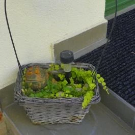 Várszálló Apartman Gyula - Egyéb