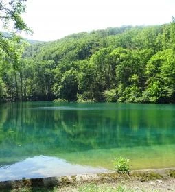 Villa Negra Vendégház étterme