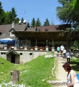 Villa Negra Vendégház étterme