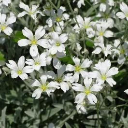 Villa Negra Vendégház étterme, Szilvásvárad - Egyéb