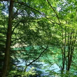 Villa Negra Vendégház étterme, Szilvásvárad - Egyéb