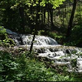 Villa Negra Vendégház étterme, Szilvásvárad - Egyéb