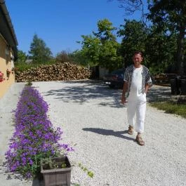 Zelei Vendégház Balatonszárszó - Környék