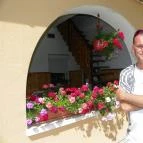 Zelei Vendégház Balatonszárszó - Egyéb