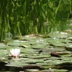 Zempléni Múzeum Szerencs - 