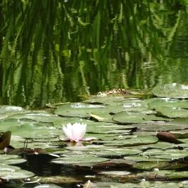 Zempléni Múzeum, Szerencs - 