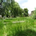 Zempléni Múzeum Szerencs - 